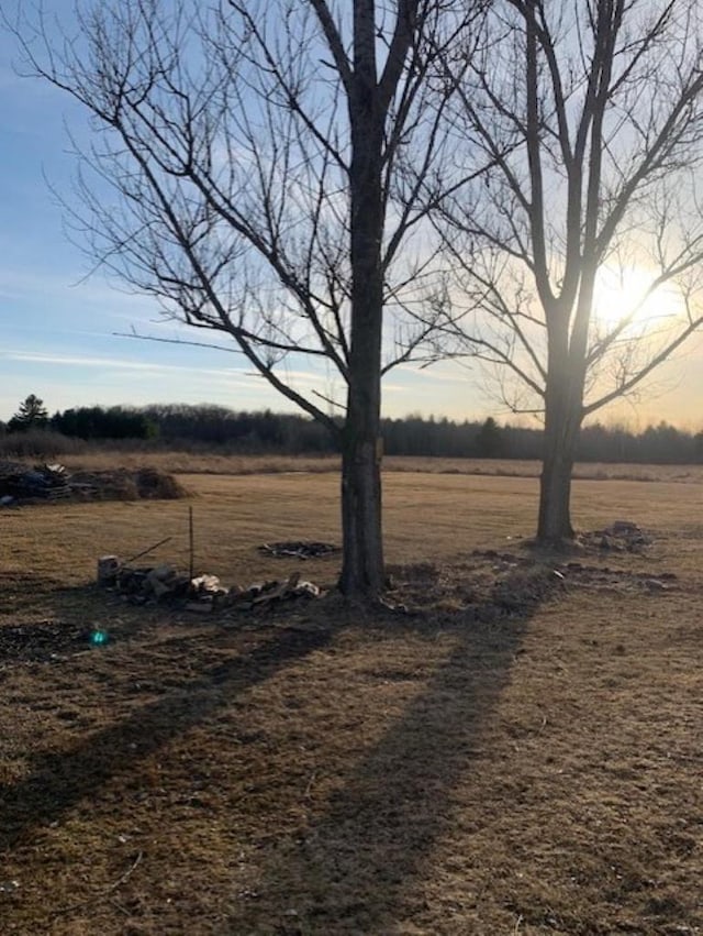 view of yard featuring a rural view