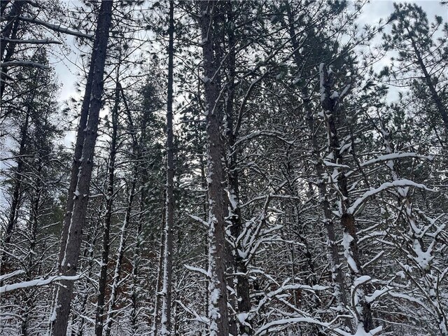 N/A Nancy Lake Rd, Minong, WI 54859