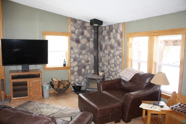 living room with a wood stove and wood finished floors