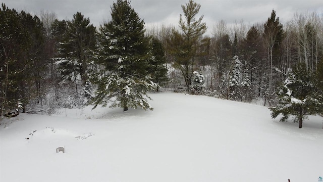 snowy yard featuring a forest view