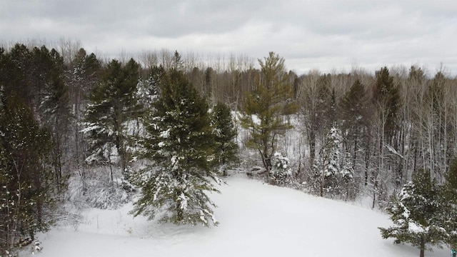 snowy landscape featuring a wooded view