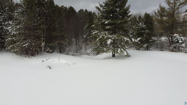 view of yard layered in snow