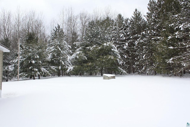 view of yard layered in snow