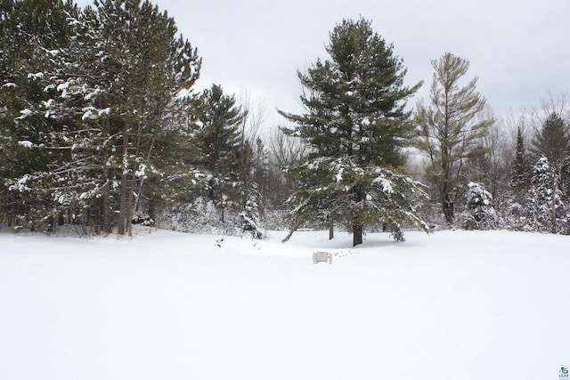 view of yard layered in snow