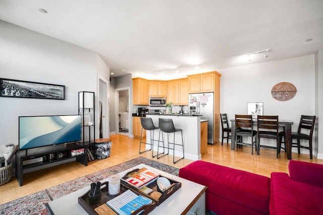 living room with rail lighting