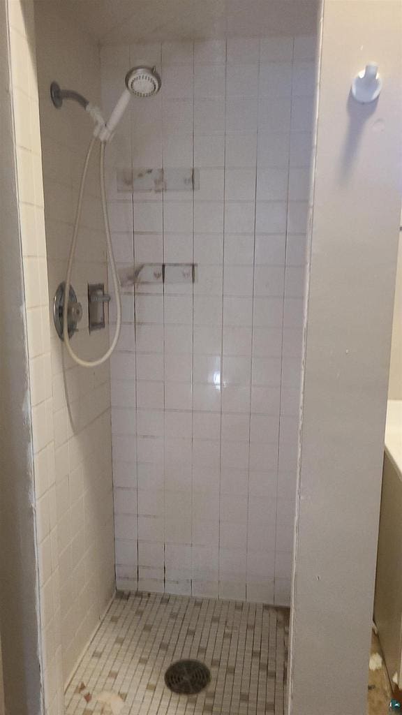 bathroom with a shower stall