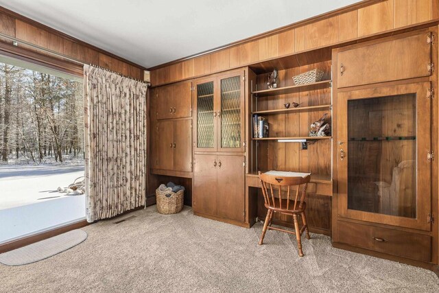 office area featuring wooden walls and carpet flooring