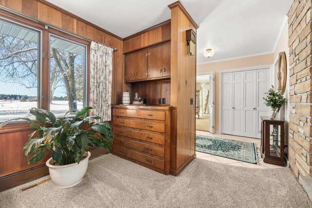 interior space with crown molding, carpet, visible vents, and wood walls