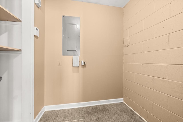 interior space featuring electric panel, baseboards, and carpet floors