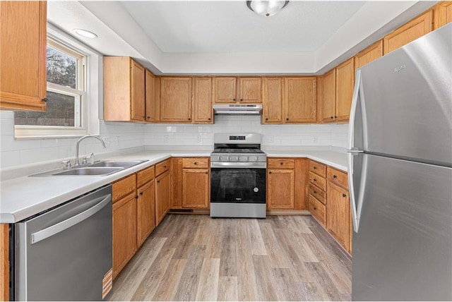 kitchen with light wood-type flooring, under cabinet range hood, a sink, tasteful backsplash, and appliances with stainless steel finishes