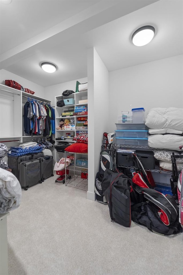 walk in closet with carpet floors