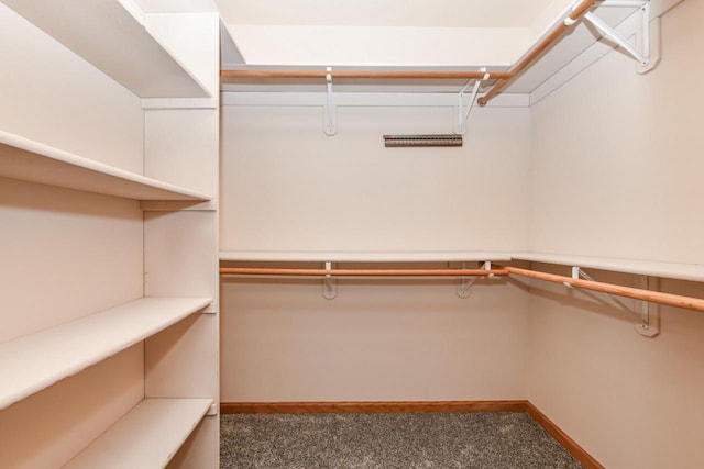 spacious closet with carpet floors