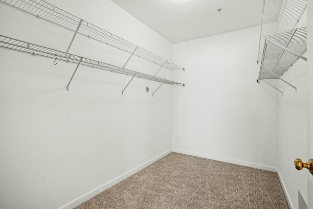 walk in closet featuring carpet flooring