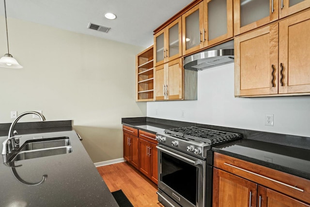 kitchen featuring visible vents, stainless steel range with gas cooktop, under cabinet range hood, light wood-style floors, and a sink