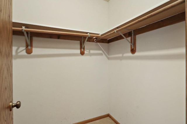 view of walk in closet