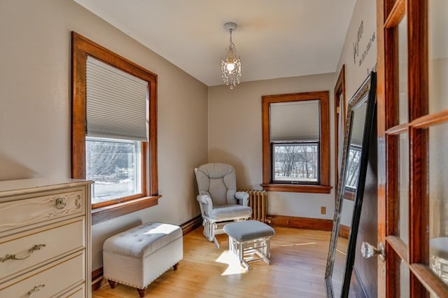 living area with a wealth of natural light, light wood-style flooring, radiator heating unit, and baseboards