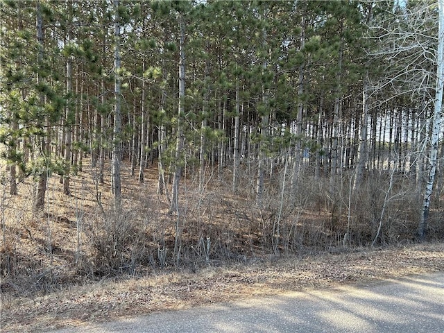 LOT4 210th St, Cadott WI, 54727 land for sale