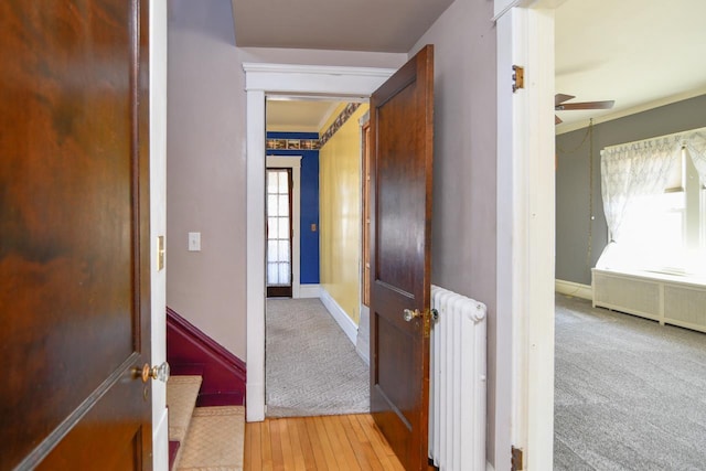 corridor with carpet flooring, radiator, radiator heating unit, and baseboards