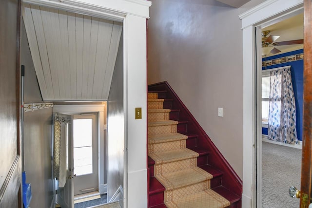 stairs with carpet and ceiling fan