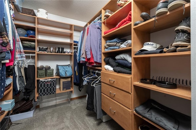 walk in closet with carpet