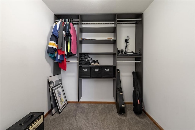 spacious closet with carpet