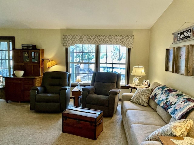 living area with carpet floors