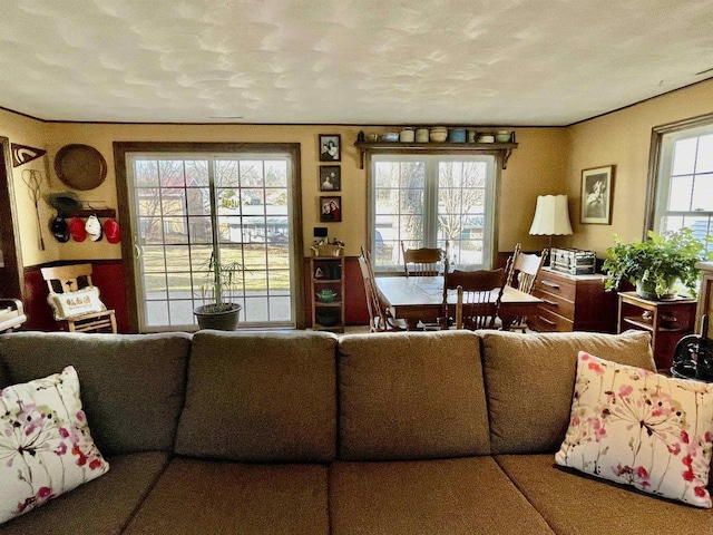 living room with plenty of natural light