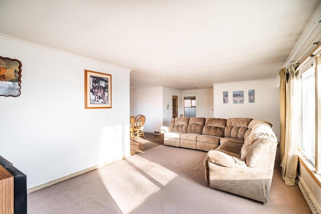 carpeted living room featuring crown molding and a baseboard radiator