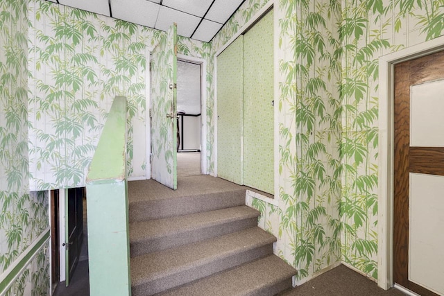 staircase with carpet flooring and wallpapered walls