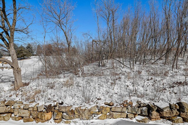 view of snow covered land