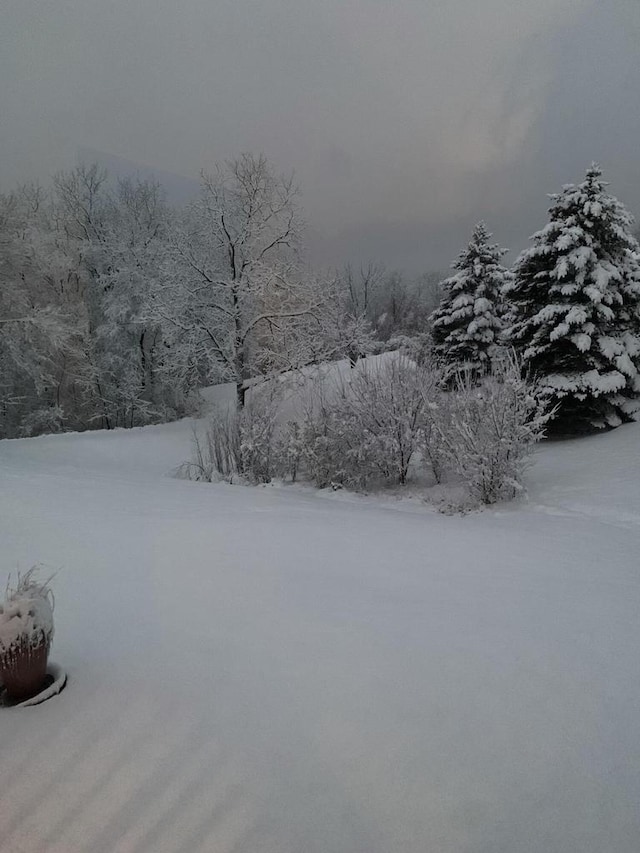 view of yard layered in snow