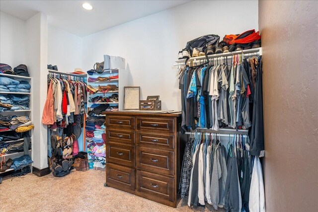 9073 Richfield Dr, Marshfield, WI 54449 - walk in closet featuring carpet