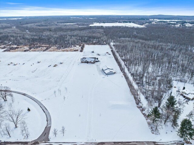 9073 Richfield Dr, Marshfield, WI 54449 - view of snowy aerial view