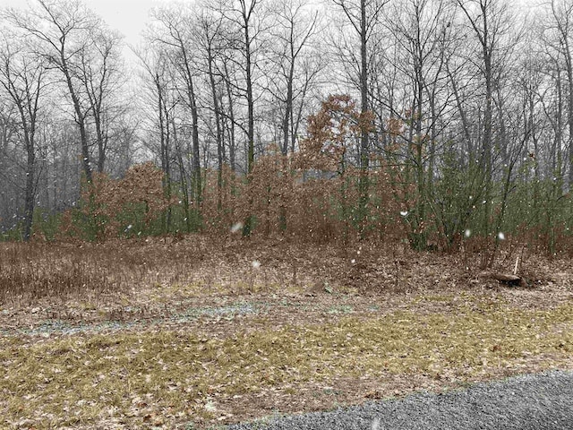 Listing photo 3 for LOT6 Acorn Ridge Rd, Mosinee WI 54455