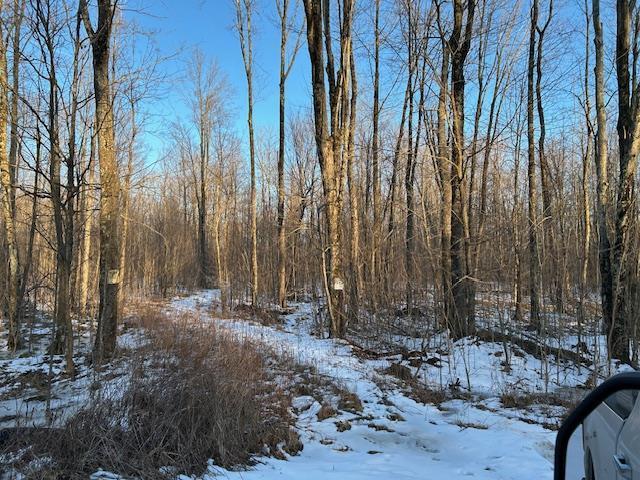 0976 Jeff Rd, Hatley WI, 54440 land for sale