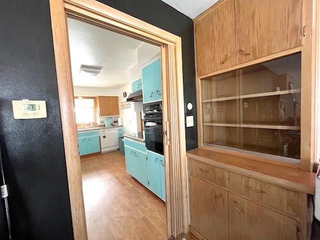 kitchen featuring under cabinet range hood, black oven, blue cabinetry, and light wood-style floors