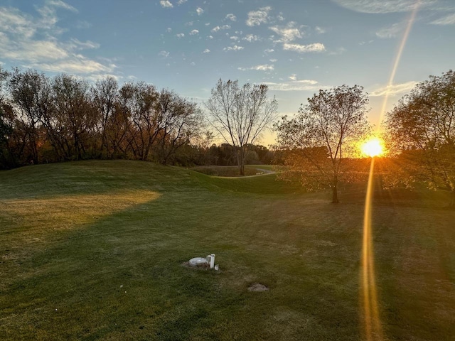 view of yard at dusk