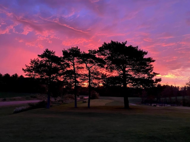 view of yard at dusk