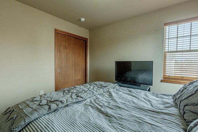 bedroom with multiple windows and a closet