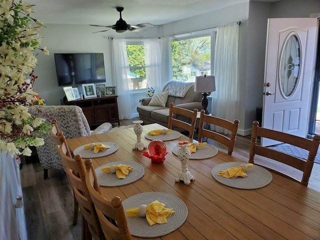 dining space featuring wood finished floors and ceiling fan