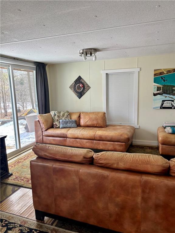 living room featuring baseboards and a textured ceiling