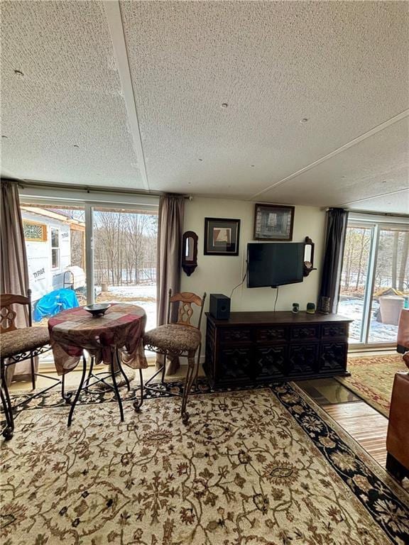 carpeted living area with a textured ceiling