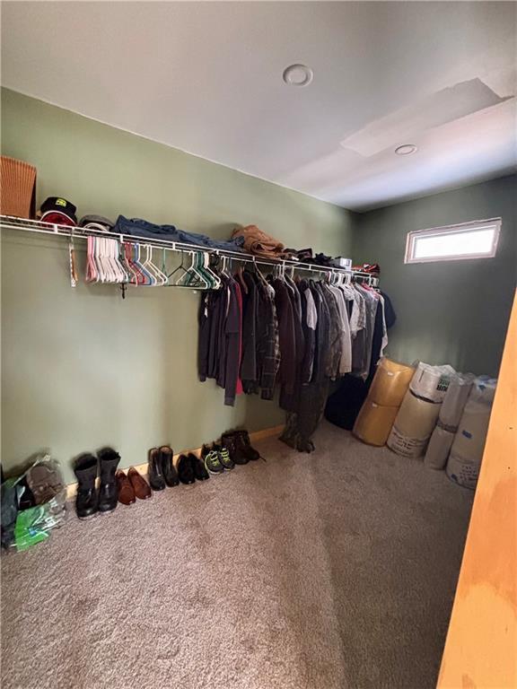 spacious closet featuring carpet floors