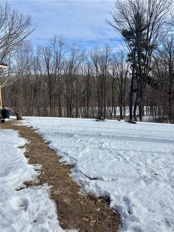 view of yard layered in snow