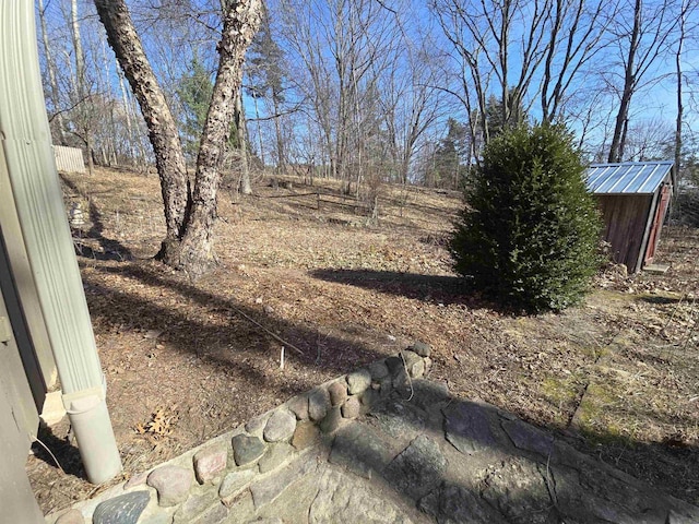 view of yard featuring an outbuilding and a storage unit