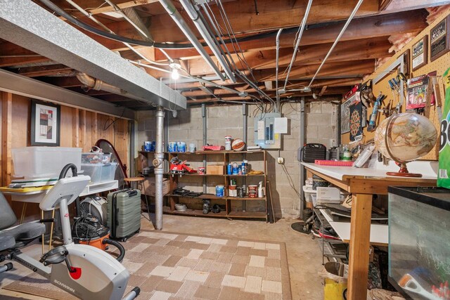 unfinished basement with electric panel