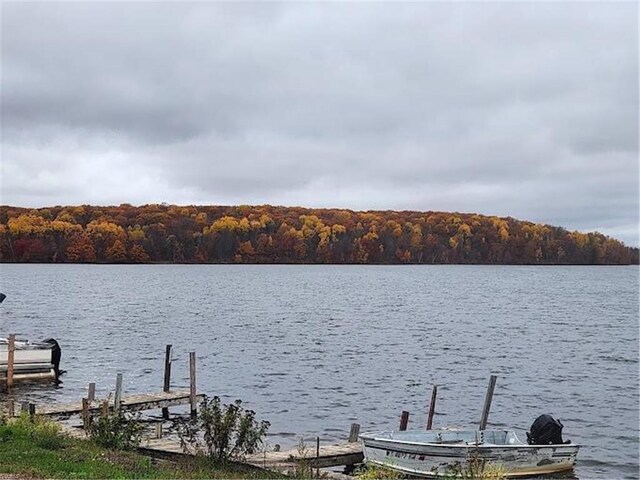 dock area featuring a wooded view and a water view