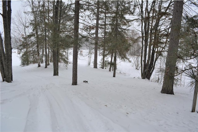 snowy yard featuring a garage