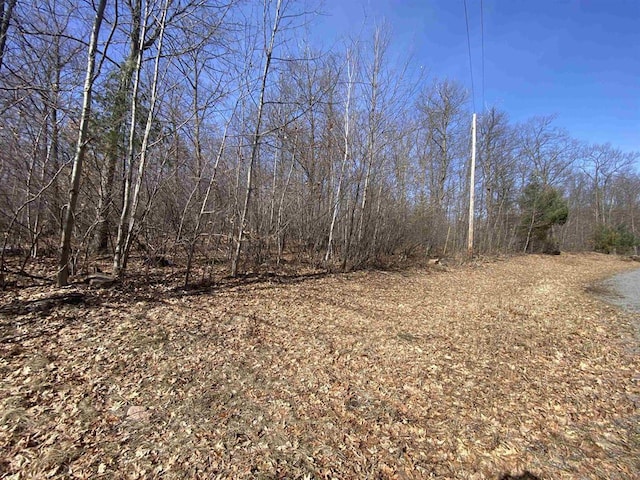 Listing photo 3 for LOTS3-6 Acorn Ridge Rd, Mosinee WI 54455