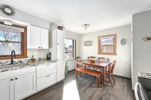 kitchen featuring dark wood-type flooring, a sink, light stone counters, white cabinets, and baseboards